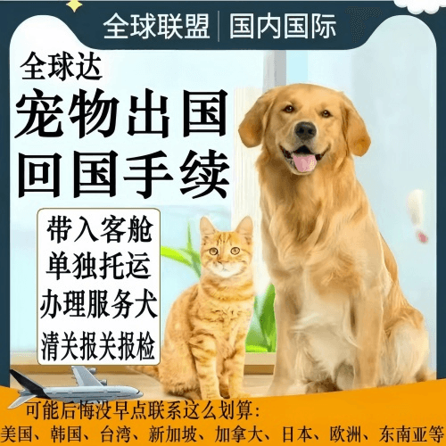 铜川市宠物托运到柬埔寨宠物入境规定和要求