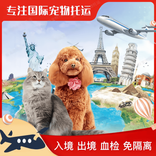 铜川市宠物托运到美国宠物入境最新规定和要求