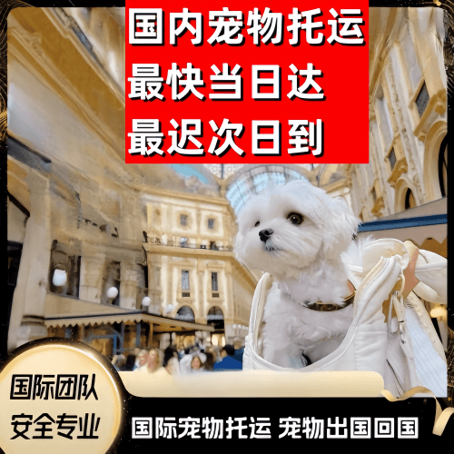 铜川市到澳大利亚（澳洲）宠物入境规定和要求